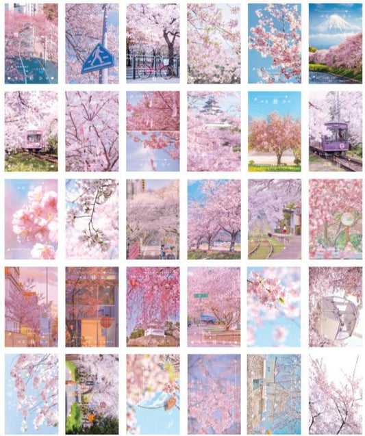 Pink Sakura Postcards Set