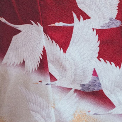Women Red Crane Yukata and Obi Set