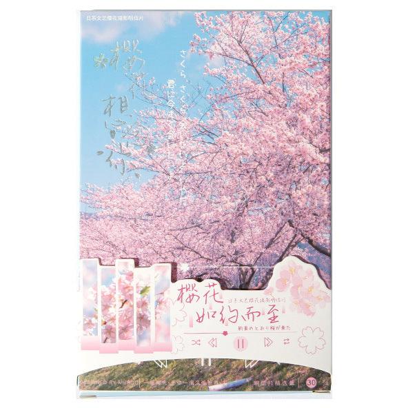Pink Sakura Postcards Set