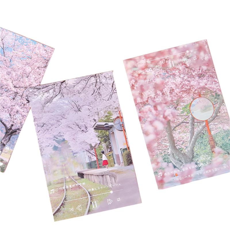 Pink Sakura Postcards Set