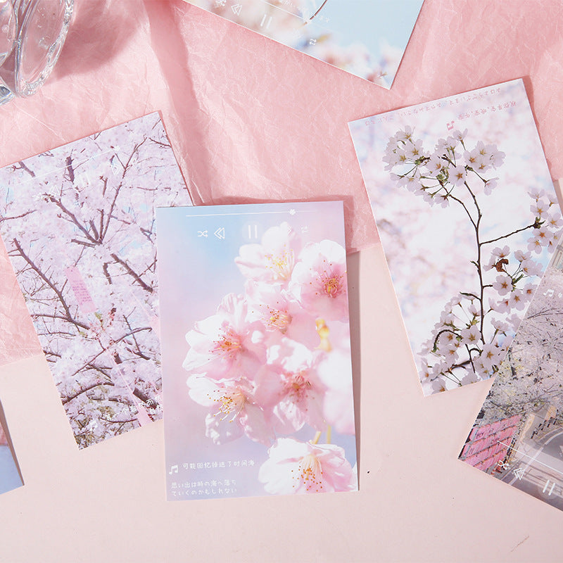 Pink Sakura Postcards Set