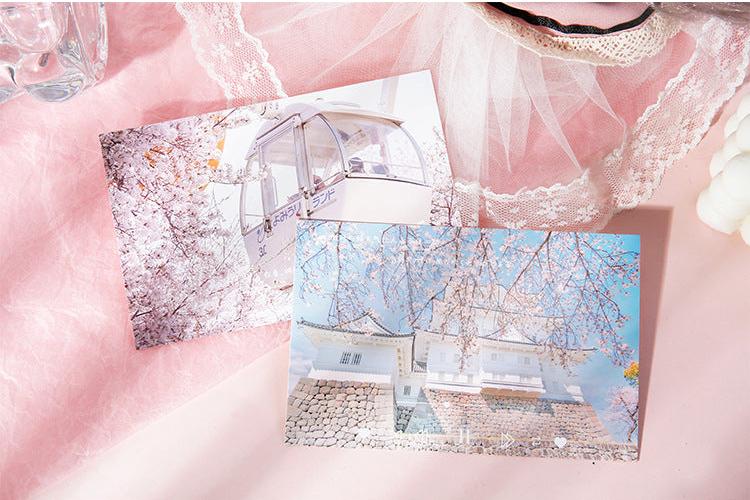 Pink Sakura Postcards Set